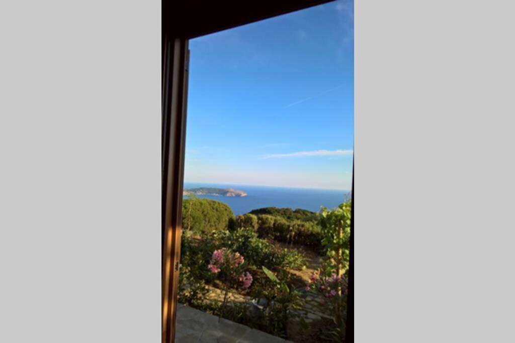Pietra Fiorita Cottage Pisciotta Eksteriør bilde